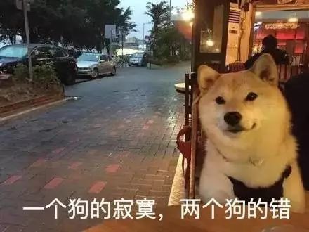搞笑来自单身狗内心的独白表情包,我等的狗,他在多远的未来