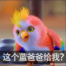 楚乔传鹦鹉表情包