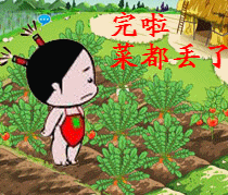 完啦菜都丢了