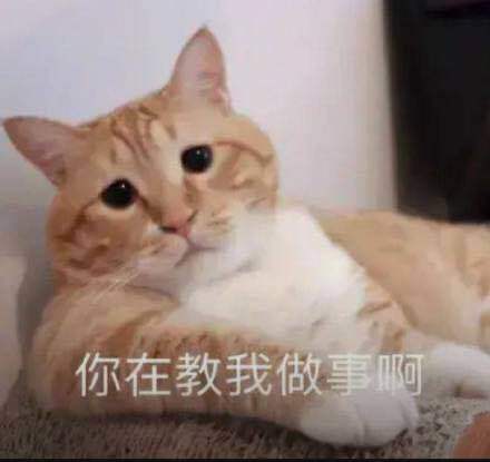 特岗教师和普通教师的差别是什么