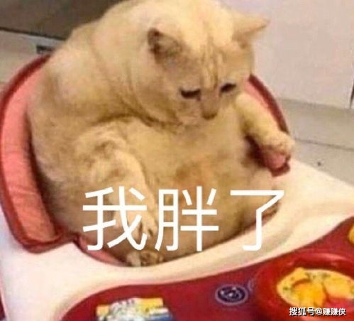 可爱表情包图片我再也不熬夜了