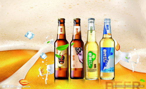 雪花啤酒设计图其他图标标志图标