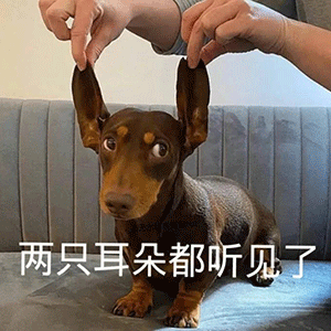 表情包两只耳朵都听见了