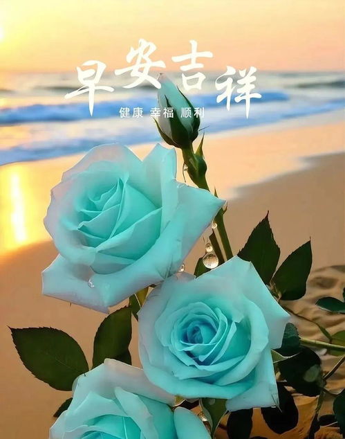2024年6月21日星期五非常漂亮夏日早上好问候动态表情图片大全最美早安问候祝福语图片