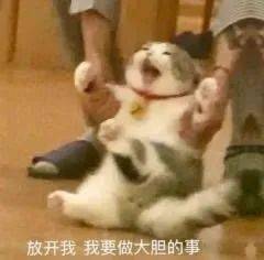 日常沙雕表情包