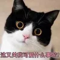 表情包丨这样会影响我的帅气