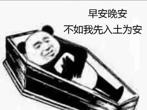 个人分享沙雕表情包和动图进来乐呵一下呗更新ev...