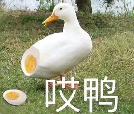 我帮大家试了这些k大不会买的网红爆款