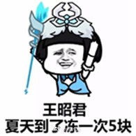 我王昭君冻一次五块钱高清合集我王昭君冻一次五块钱搞笑表情包下载乐游网游戏下载