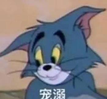 只为遇见你张铭恩文咏珊带你领略匠至臻心的文化魅力