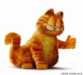 可爱猫头像画法卡通加菲猫