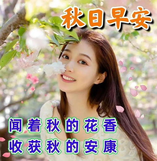 2024年8月26日星期一秋天早安祝福图片,落叶知秋,愿你入秋心情清凉,事业火热,健康平安网易订阅