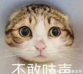马云再预言未来十年内,房子车子将不再值钱,值钱会变成这三样