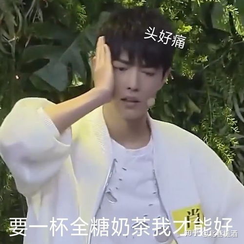 有哪些有趣的肖战无水印表情包