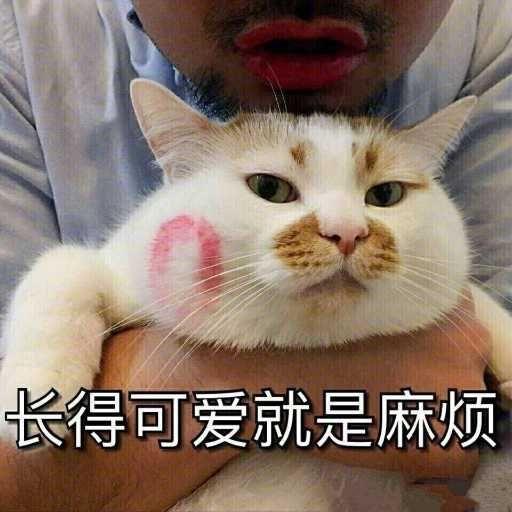 有没有吉林农业大学的学长学姐,能介绍一下学校情况吗