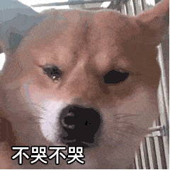表情包动图新的斗图表情包来啦