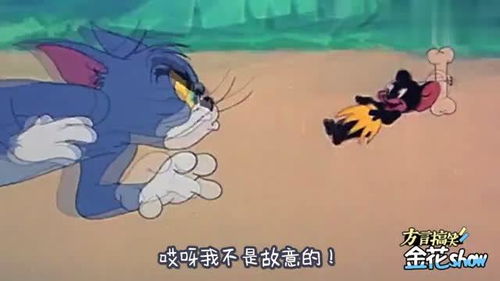 金花哥爆笑配音猫和老鼠这样看才搞笑,配上四川话,幽默又好笑
