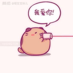 暖宝宝妹儿的美拍