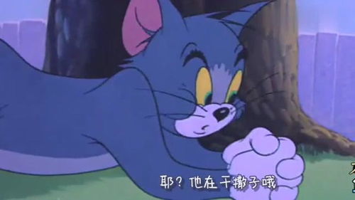 搞笑四川话当猫和老鼠遇到金花哥麻辣四川话,真是太搞笑了
