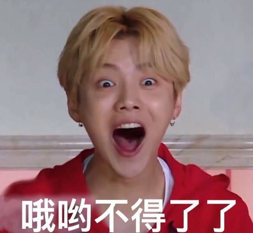 明星搞笑表情包,王源鹿晗的都能忍,张艺兴的我能笑一年