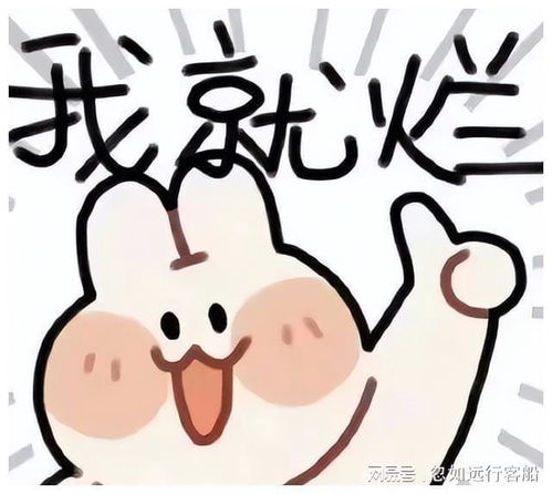 分享摆烂系列表情包,不仅有点傻傻的还很可爱无水印版