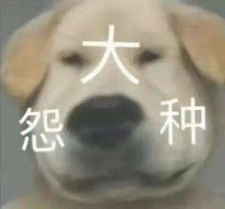 喝了三斤白酒,我才敢来爆料赤沙tod这些料