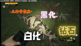 猎人荒野的召唤战利品陈列室展示