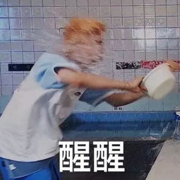 西柚学习读书患不多,思义患不明