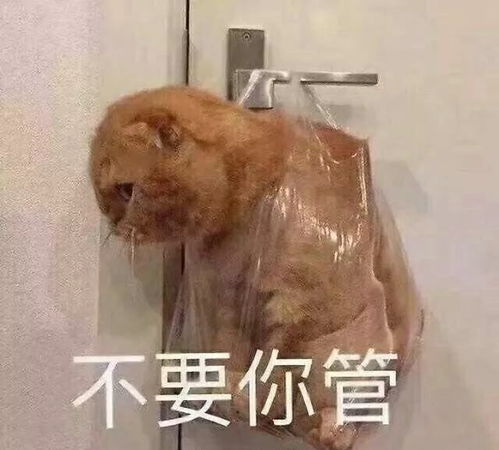 嘿嘿表情包搞笑沙雕