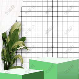 质感纹理背景高清简约文艺清新绿植空间立体电商主图背景素材下载800800像素psd格式90设计