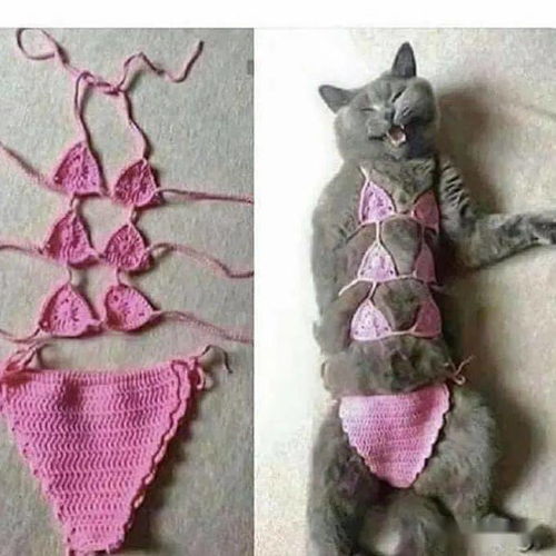 画师将各种沙雕猫猫图卡通化,这搞笑的可爱画风,也太魔性啦