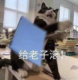 如何正确的应对熊孩子家长内容引起极度舒适