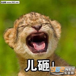 儿砸图片搜索儿砸表情包下载乐游网游戏下载