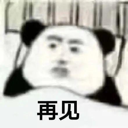 表情包还是沙雕熊猫头搞笑