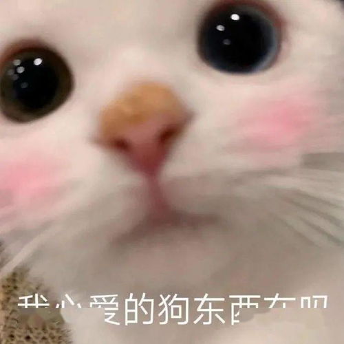 我搞出了一个比鞠婧祎还成功的鼻子