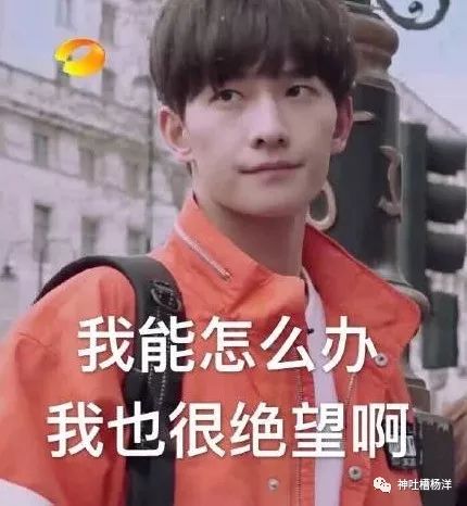 杨洋搞笑表情包今天的小可爱是一个呆呆的柠檬男孩