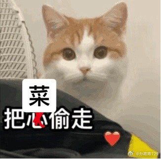 听了小蘑菇直接入坑孙路路