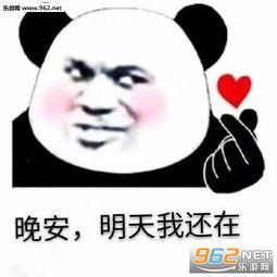 晚安明天我还在熊猫头表情包我的天鸭表情包下载乐游网游戏下载