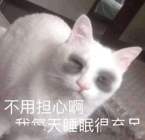 沙雕动图表情包