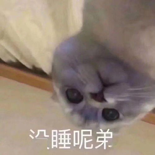 日常沙雕表情包