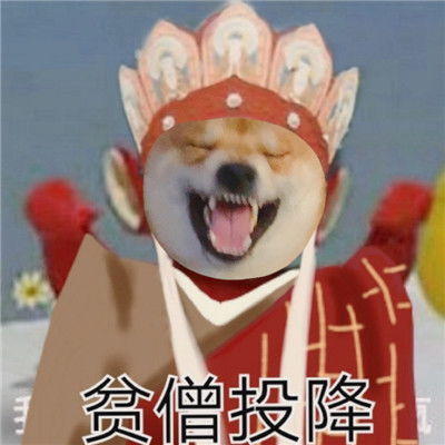 柴犬版新西游记搞笑表情包2021最新版的热门表情合集