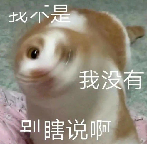 叮您收到一组沙雕表情包,快进来看黑丝