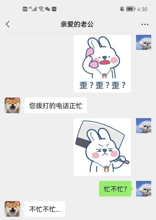 和对象聊天时发过的表情包,太好笑了吧哈哈哈哈