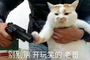 简单搞定一家人的午饭鸡腿还能这样吃