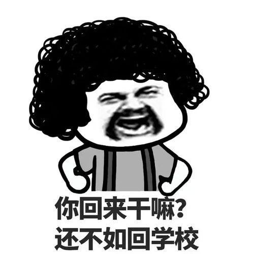 爆笑段子年轻人,乞讨是我的工作,而这才是是我的生活