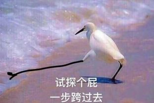删了苍老师所有视频祝福她轻松一刻1月2日晚间版