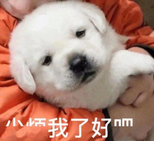 日常沙雕搞笑表情