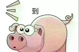 猪到的表情包猪答道表情包图片下载乐游网游戏下载