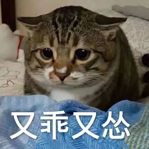 爆笑医学生专用表情包来啦