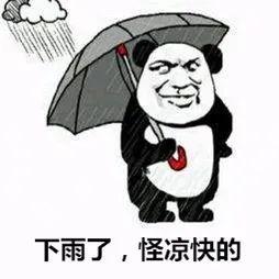 提前get龙舟水到来安全指南